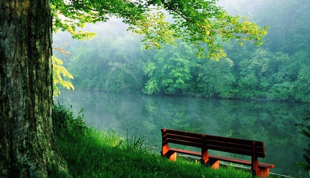 park bench at river