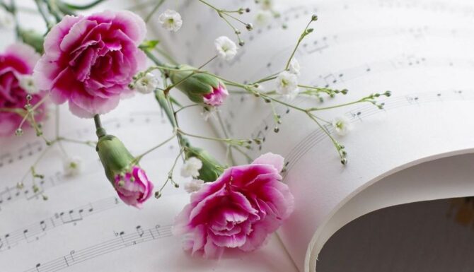 Carnations on a sheet of music