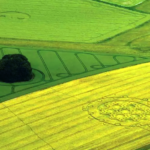 Crop circles in England (Photo: Aleksy/Fotolia)