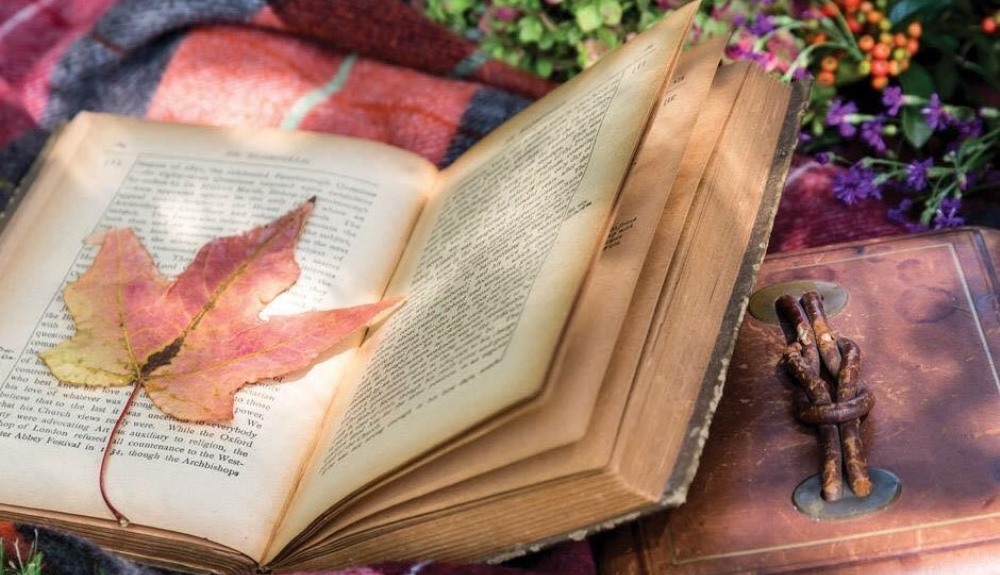 antique book and autumn leaf