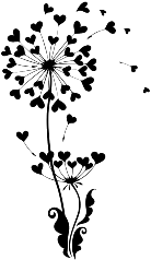 dandelion spreading love