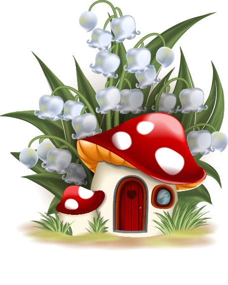fairy mushrooms