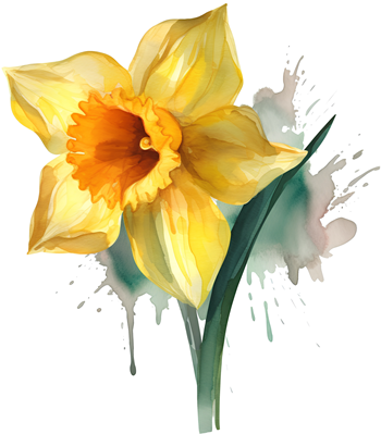 daffodil