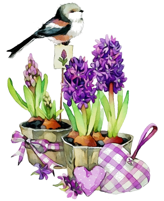 hyacinths