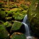 babbling brook