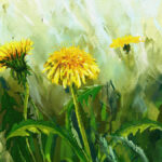 "Dandelions" by Marcin Moderski