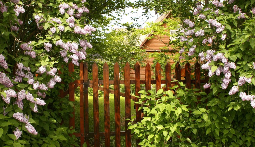 garden path