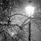 lamplight on snowy night