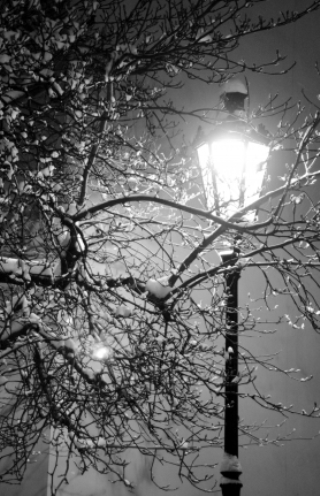 lamplight on snowy night