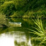 boat on water