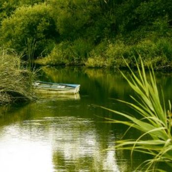 boat on water